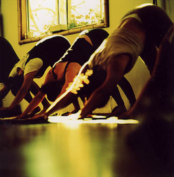 Downward Facing Dog pose at White Lotus retreat 1999